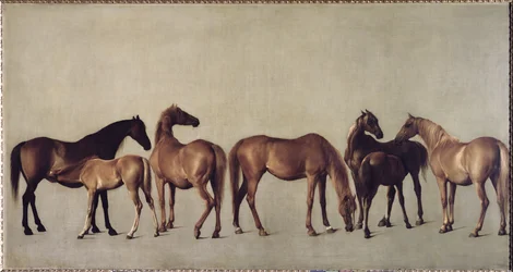 Tammoja ja varsoja ilman taustaa, noin 1762